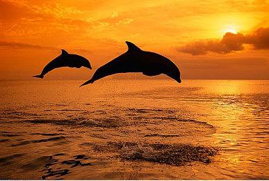 《GTA6》或将引入NPC季节变化和音乐会元素